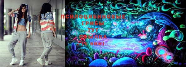 твердый Касимов