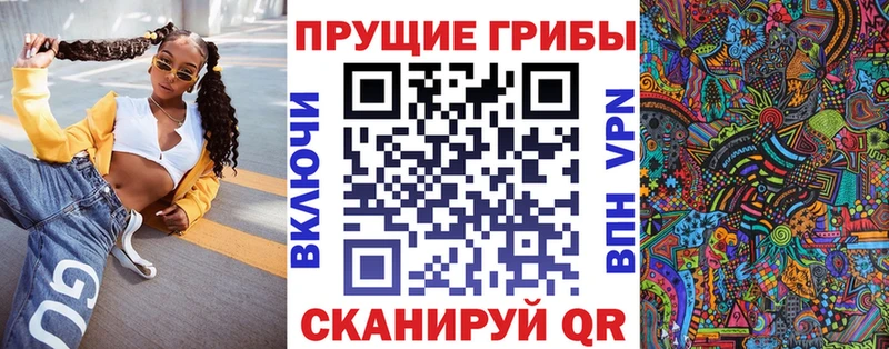 Купить закладки Куртамыш Псилоцибиновые грибы Cubensis